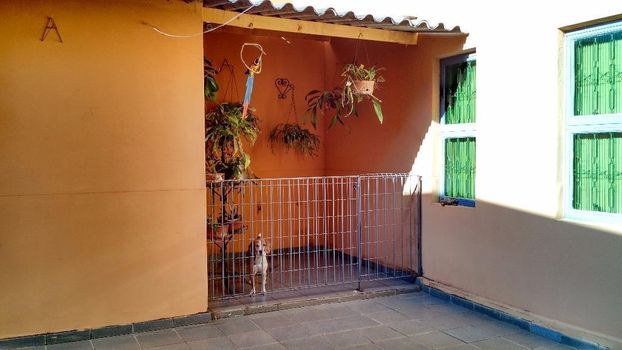 Foto 14 do(a) Casa de 3 quartos à venda em Boa Vista, Araçatuba