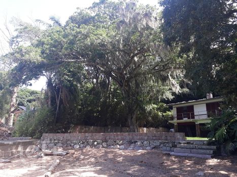 Foto 40 do(a) Casa de 3 quartos à venda em Ponta Grossa, Porto Alegre
