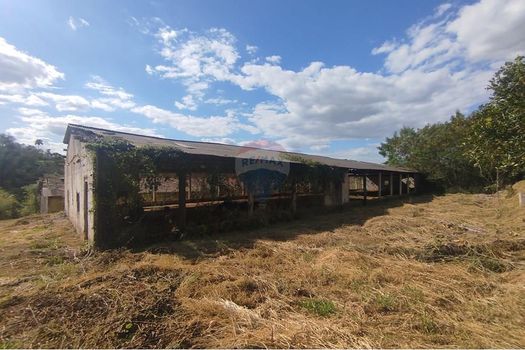 Foto 31 do(a) Fazenda / Sítio / Chácara de 3 quartos à venda em Cercado Grande I, Itapira