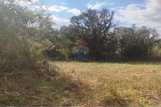 Foto 24 do(a) Fazenda / Sítio / Chácara de 3 quartos à venda em Cercado Grande I, Itapira