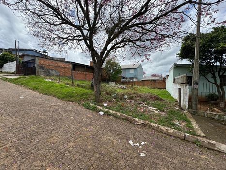Foto 5 do(a) Terreno false à venda em Rincão da Madalena, Gravataí