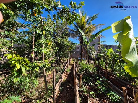 Foto 4 do(a) Terreno false à venda em Setor Habitacional Arniqueira (Águas Claras), Brasília