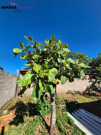 Foto 5 do(a) Terreno false à venda em Setor Habitacional Arniqueira (Águas Claras), Brasília