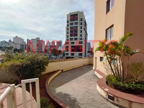 Foto 50 do(a) Apartamento de 3 quartos para alugar em Vila Paulicéia, São Paulo
