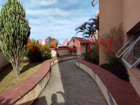 Foto 49 do(a) Apartamento de 3 quartos para alugar em Vila Paulicéia, São Paulo