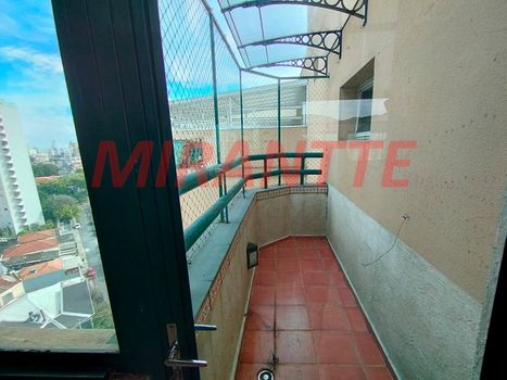Foto 33 do(a) Apartamento de 3 quartos para alugar em Vila Paulicéia, São Paulo