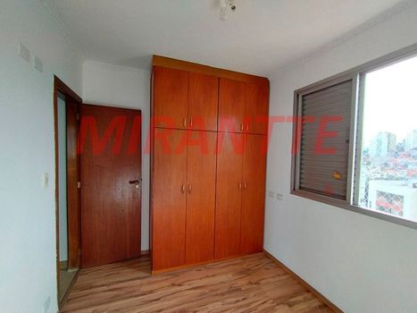 Foto 16 do(a) Apartamento de 3 quartos para alugar em Vila Paulicéia, São Paulo