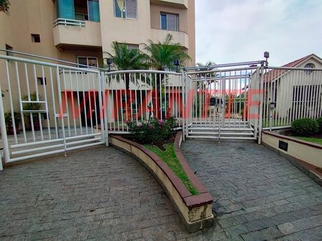 Foto 42 do(a) Apartamento de 3 quartos para alugar em Vila Paulicéia, São Paulo
