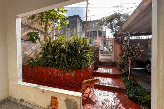 Foto 5 do(a) Casa de 2 quartos à venda em Centro Alto, Ribeirão Pires