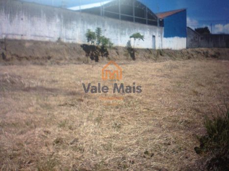 Foto 4 do(a) Terreno false à venda em Vila Regina Célia, Cruzeiro