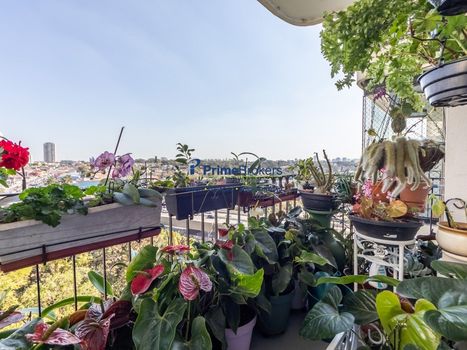 Foto 8 do(a) Apartamento de 3 quartos à venda em Jardim Aeroporto, São Paulo