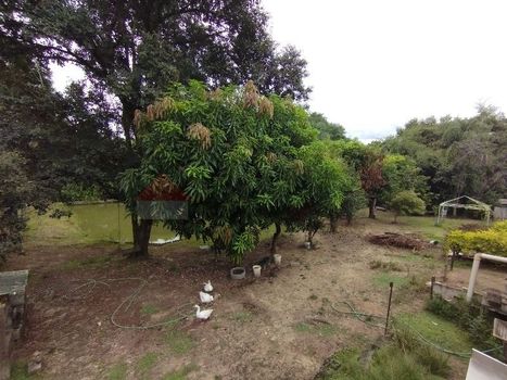 Foto 17 do(a) Fazenda / Sítio / Chácara de 2 quartos à venda em null, Salto de Pirapora