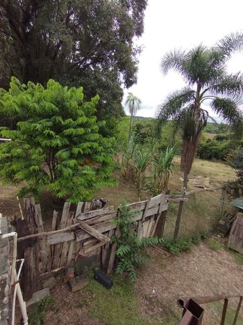 Foto 16 do(a) Fazenda / Sítio / Chácara de 2 quartos à venda em null, Salto de Pirapora