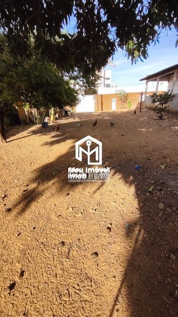 Foto 1 do(a) Fazenda / Sítio / Chácara false à venda em Diogo Machado de Araújo, Luziânia