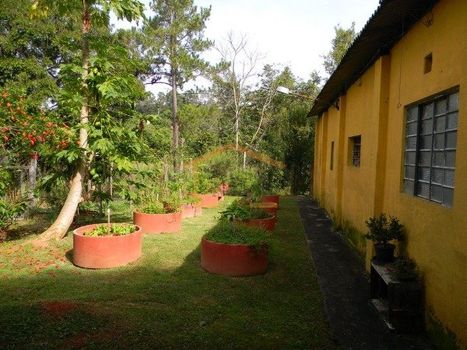 Foto 6 do(a) Fazenda / Sítio / Chácara de 4 quartos à venda em Bom Retiro dos Mourão, Bragança Paulista