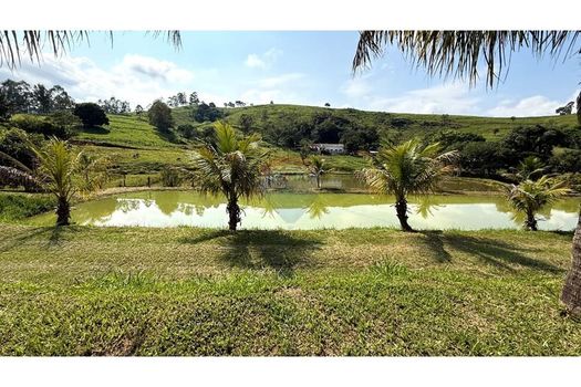 Foto 20 do(a) Fazenda / Sítio / Chácara de 3 quartos à venda em Ponte Nova, Itapira