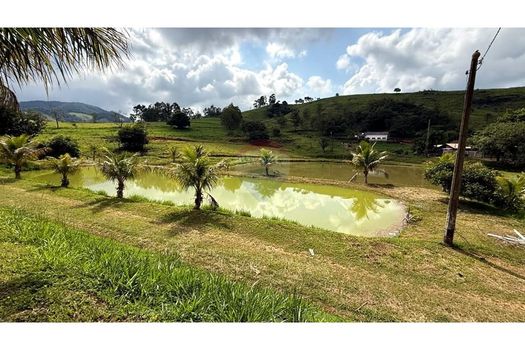 Foto 2 do(a) Fazenda / Sítio / Chácara de 3 quartos à venda em Ponte Nova, Itapira