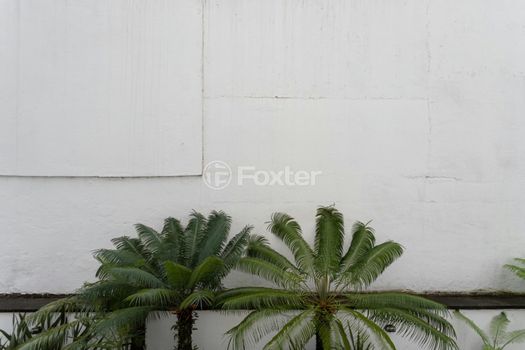Foto 35 do(a) Apartamento de 3 quartos à venda em Planalto Paulista, São Paulo