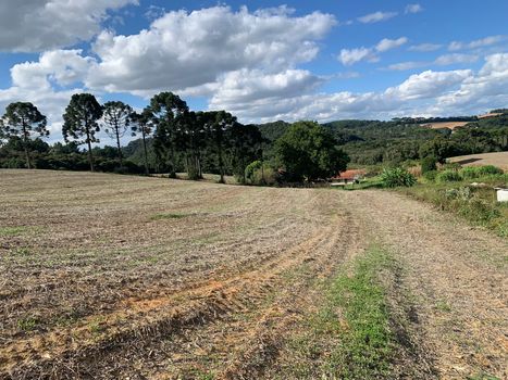 Foto 46 do(a) Fazenda / Sítio / Chácara de 7 quartos à venda em Colonia Marcelino, São José dos Pinhais