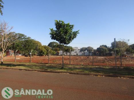 Foto 9 do(a) Terreno false para alugar em Parque Residencial Tuiuti, Maringá
