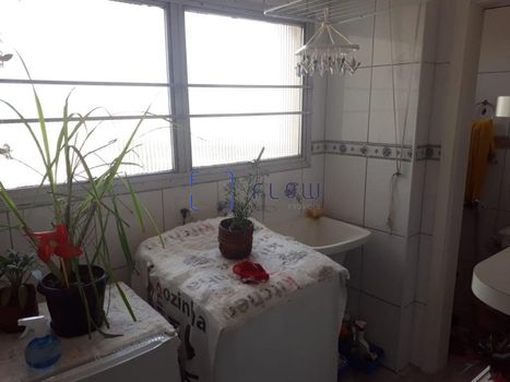 Foto 13 do(a) Apartamento de 3 quartos à venda em Vila Firmiano Pinto, São Paulo