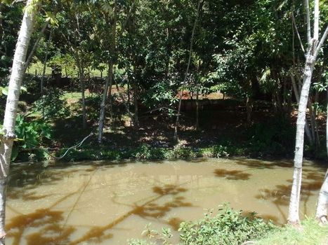 Foto 3 do(a) Fazenda / Sítio / Chácara de 2 quartos à venda em Centro, Lorena