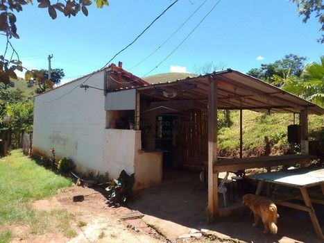 Foto 38 do(a) Fazenda / Sítio / Chácara de 2 quartos à venda em Centro, Lorena