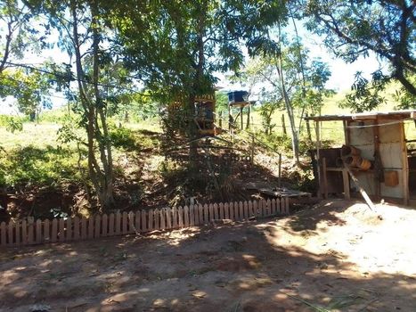 Foto 29 do(a) Fazenda / Sítio / Chácara de 2 quartos à venda em Centro, Lorena