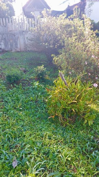 Foto 21 do(a) Terreno false à venda em Planta Almirante, Almirante Tamandaré