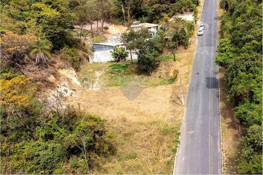 Foto 14 do(a) Fazenda / Sítio / Chácara false à venda em null, Sarzedo