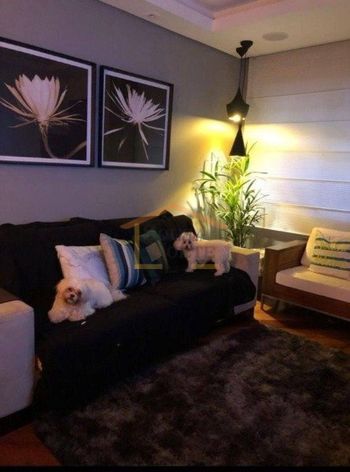 Foto 2 do(a) Casa em Condomínio de 3 quartos à venda em Jardim Peri, São Paulo