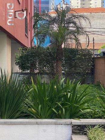 Foto 26 do(a) Apartamento de 2 quartos à venda em Saúde, São Paulo
