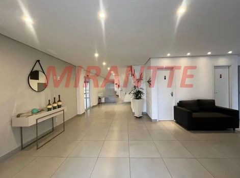 Foto 10 do(a) Apartamento de 2 quartos à venda em Vila Pita, São Paulo