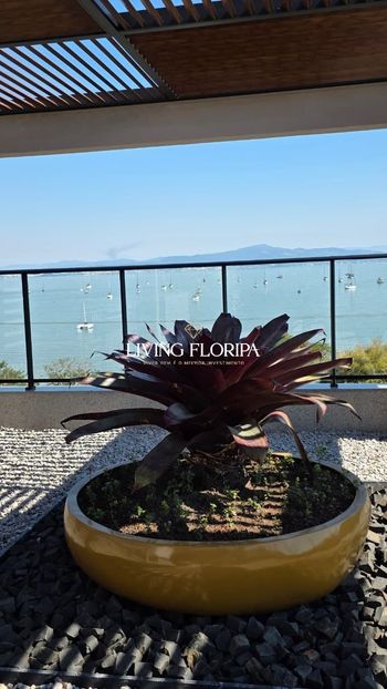 Foto 45 do(a) Apartamento de 1 quartos à venda em Santo Antônio de Lisboa, Florianópolis