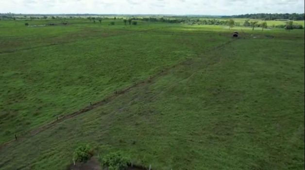 Foto 7 do(a) Fazenda / Sítio / Chácara false à venda em Área Rural de Paragominas, Paragominas