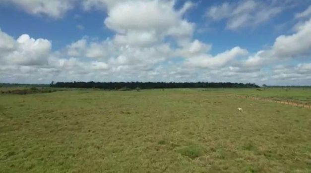 Foto 5 do(a) Fazenda / Sítio / Chácara false à venda em Área Rural de Paragominas, Paragominas
