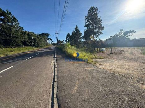 Foto 16 do(a) Terreno false à venda em null, Campina Grande do Sul