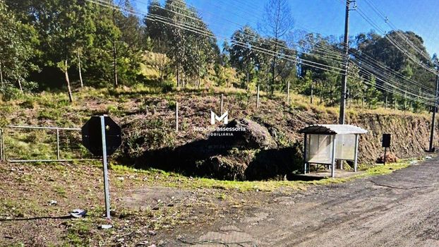 Foto 6 do(a) Terreno false à venda em Pio X, Farroupilha