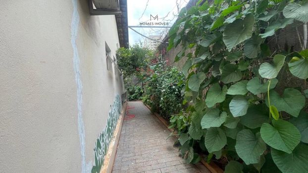 Foto 3 do(a) Casa de 3 quartos à venda em Saudade, Araçatuba