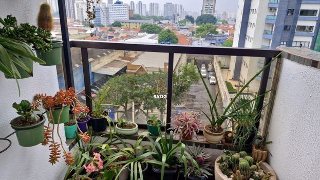 Foto 10 do(a) Apartamento de 4 quartos à venda em Vila Gomes Cardim, São Paulo