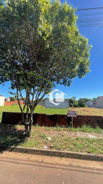 Foto 1 do(a) Terreno false à venda em Residencial Olímpico, Cianorte