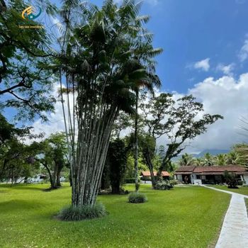Foto 2 do(a) Casa em Condomínio false à venda em Jaraguá, São Sebastião