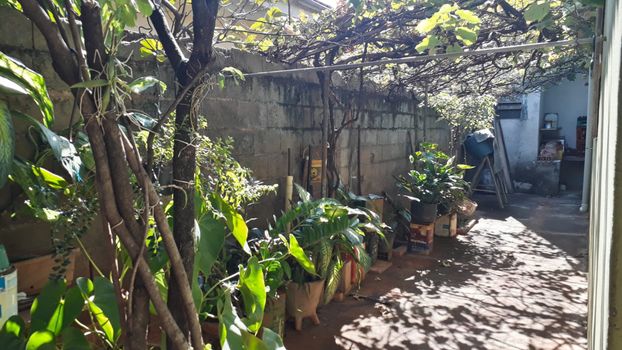 Foto 10 do(a) Casa de 5 quartos à venda em Alto do Ipiranga, Ribeirão Preto
