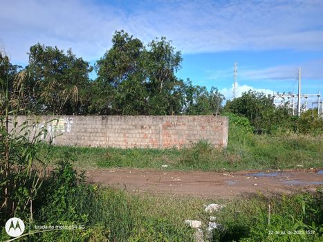 Foto 5 do(a) Terreno false à venda em null, São Miguel dos Milagres