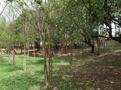 Foto 17 do(a) Casa em Condomínio de 4 quartos à venda em Jardim Ibiti do Paço, Sorocaba