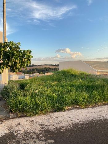 Foto 4 do(a) Terreno false à venda em Loteamento Residencial Veneza, Apucarana
