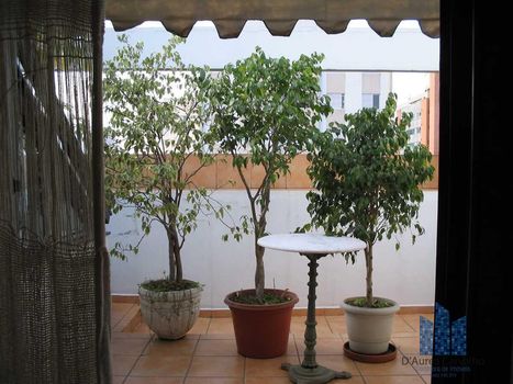 Foto 21 do(a) Apartamento de 1 quartos à venda em Moema, São Paulo