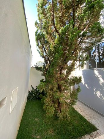 Foto 8 do(a) Casa de 3 quartos à venda em Parque São José, Varginha