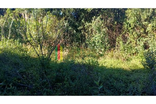 Foto 5 do(a) Fazenda / Sítio / Chácara false à venda em Jardim Amélia, Pinhais