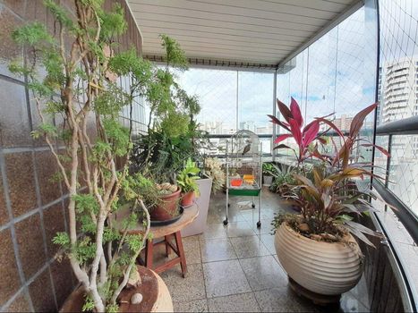 Foto 5 do(a) Apartamento de 4 quartos à venda em Serra, Belo Horizonte